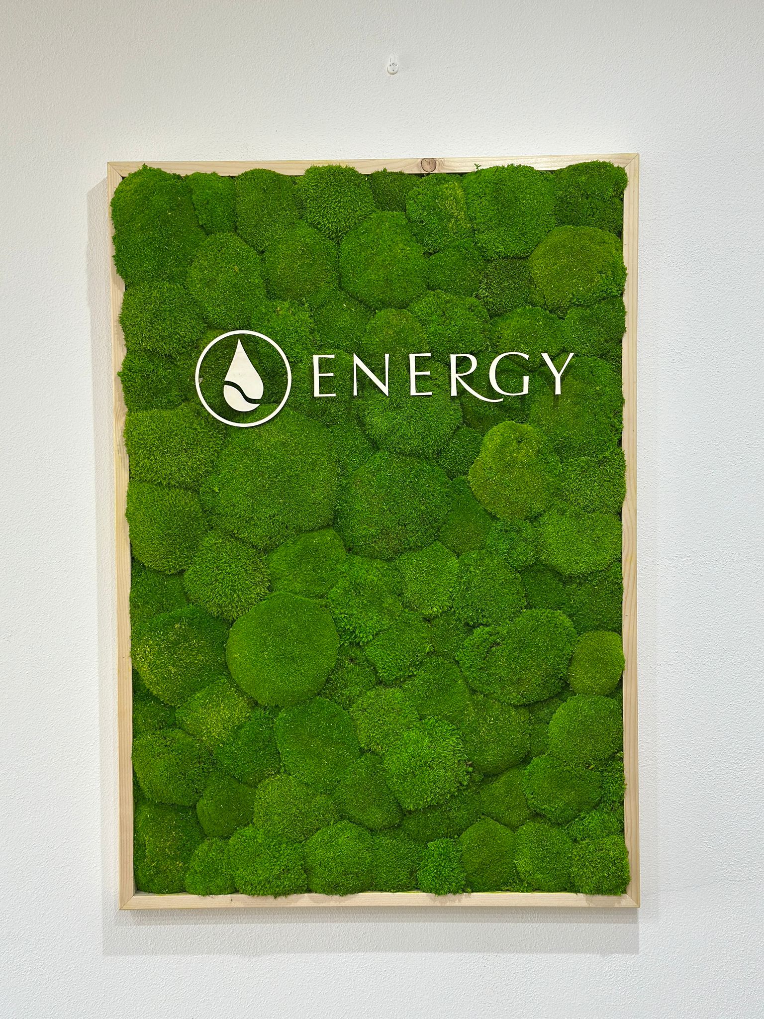 WhatsApp Image 2026-02-20 at 08.14.06